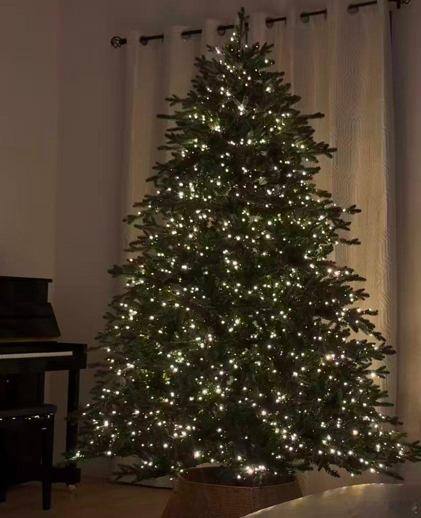 万物皆可圣诞树没想到吧，万物都能变身圣诞树。平常物件稍作改造，氛围感立马拉满，还