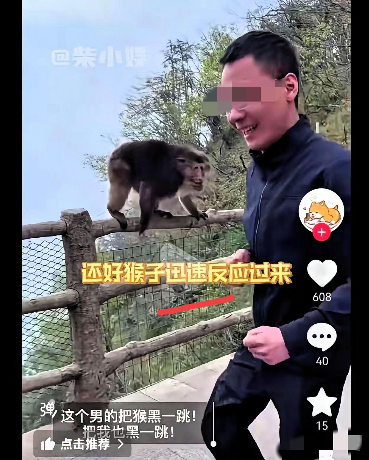 真的太离谱了！
峨眉山这名眼镜男
纯属自作自受把自己玩到全网社死

人家猴子安安