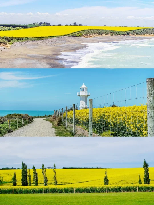 💚特卡波周边1.5H，如果只去一个地方。。