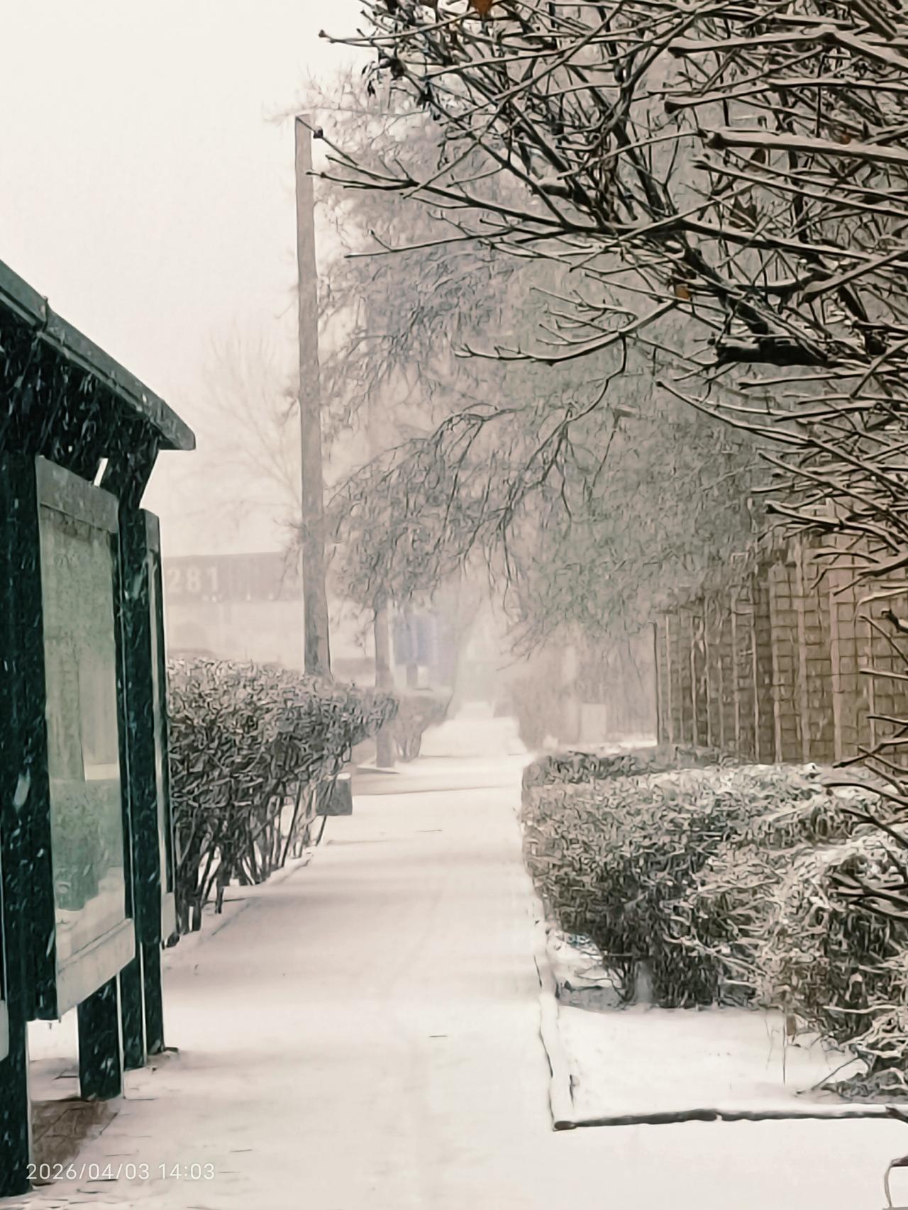 你渴望财富自由吗是不是有AI了，每个人都可以财务自由。