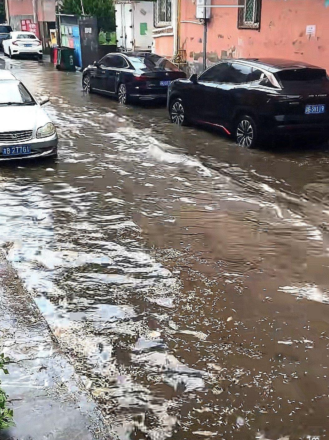 中国大陆天津市，荆州区第四中学 