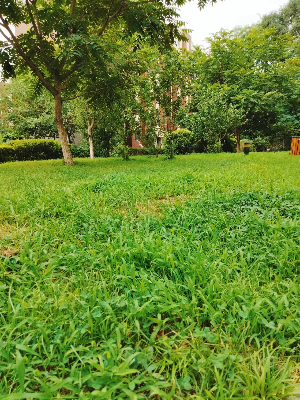 一 天之际在于晨，一年之际在于春，愿这个春天每天都在轻松愉快中度过，多一点幸福，