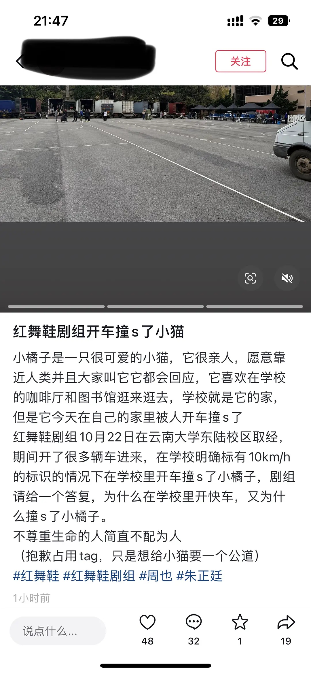 曝红舞鞋剧组开快车撞死猫 红舞鞋从开拍选角到苛待群演再到现在撞si校园里的小猫，