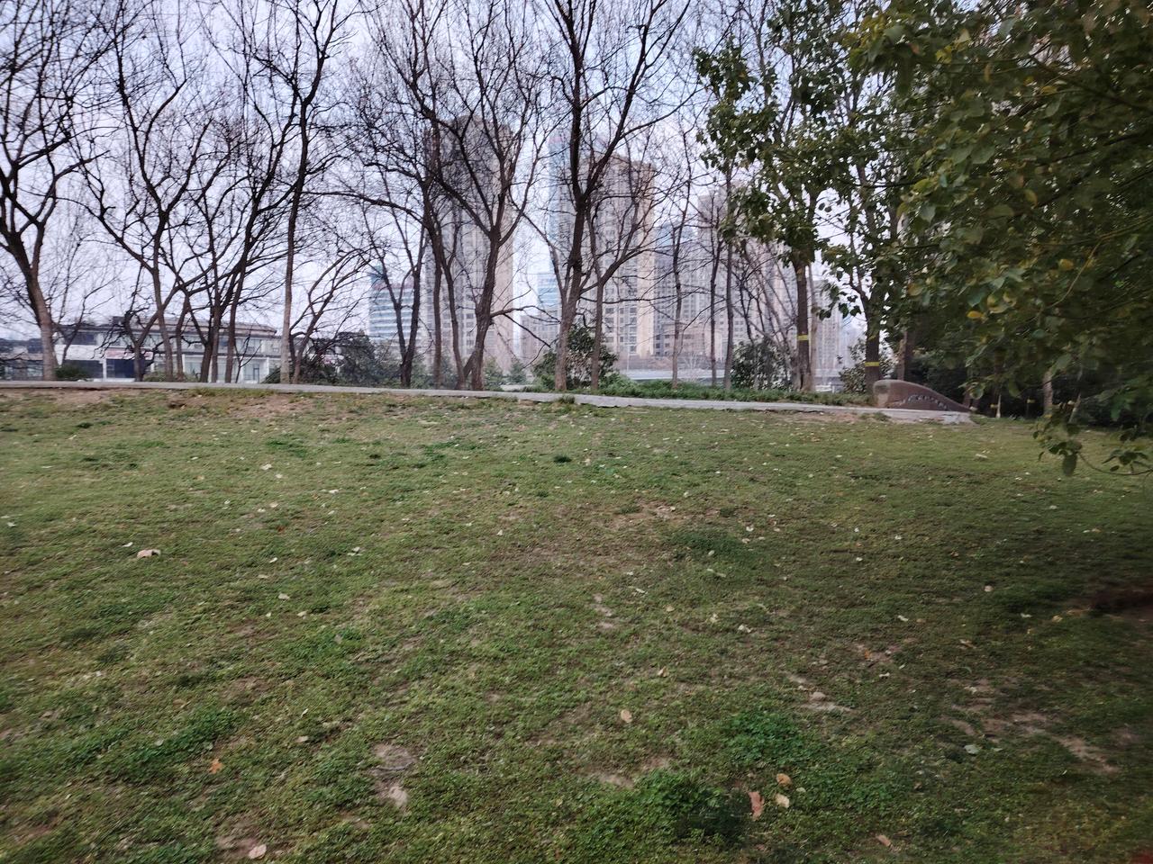 别以为没人在意！校长长期脱岗当“甩手掌柜”，上班打麻将被实名举报，直接免职！
总