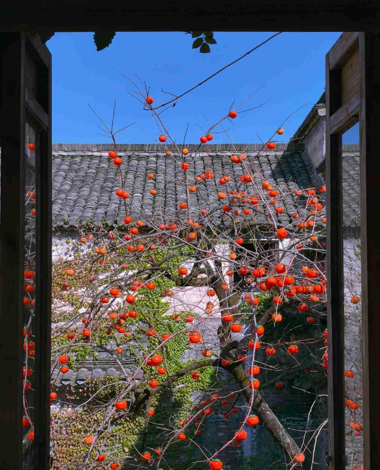 我的今日状态：🏝️旅行度假
我这里的天气：🌤️多云