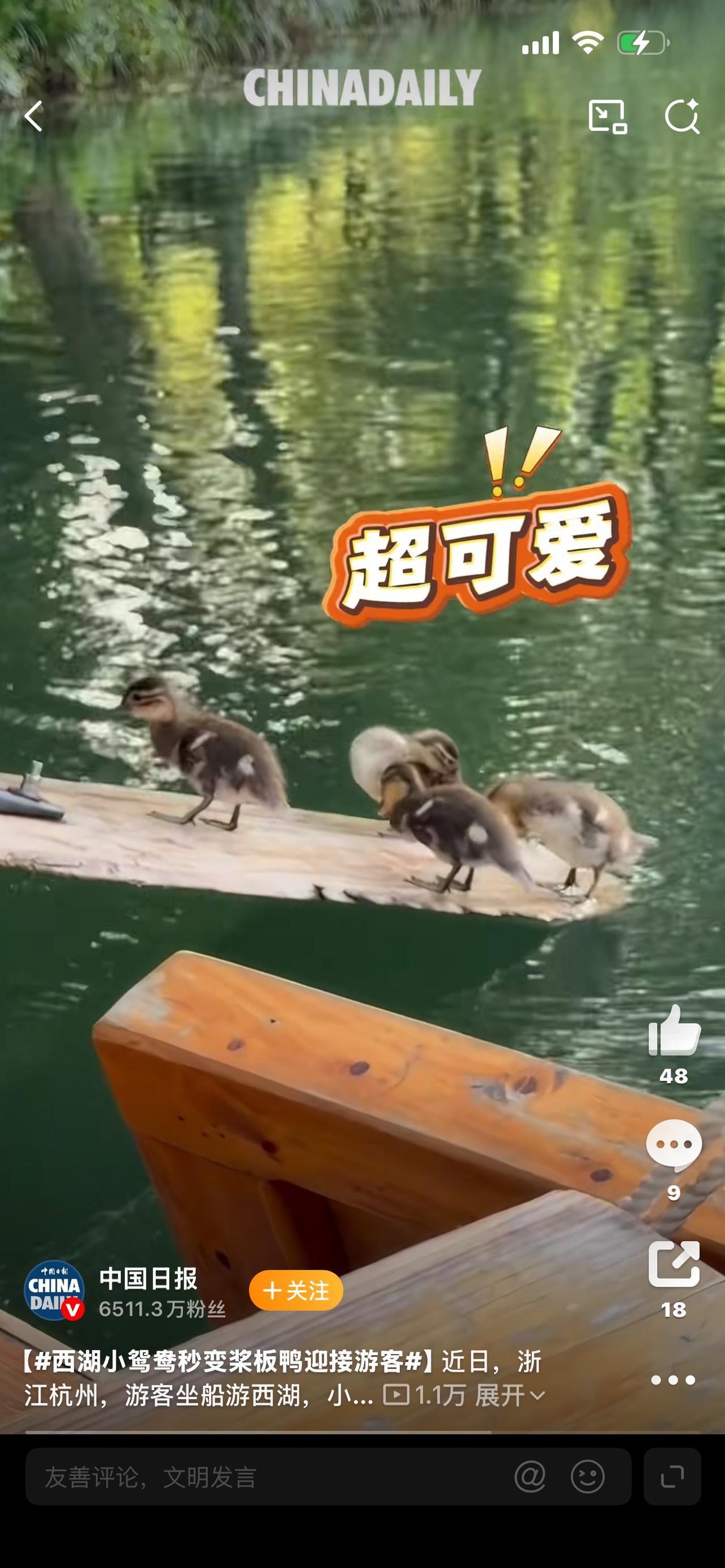 萌翻全网！西湖小鸳鸯秒变“桨板鸭”迎接游客，这一幕治愈了整个夏天！


谁能拒绝