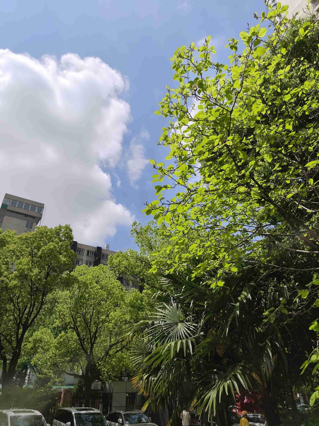 我的今日状态：😁轻松愉快
我这里的天气：☀️晴天