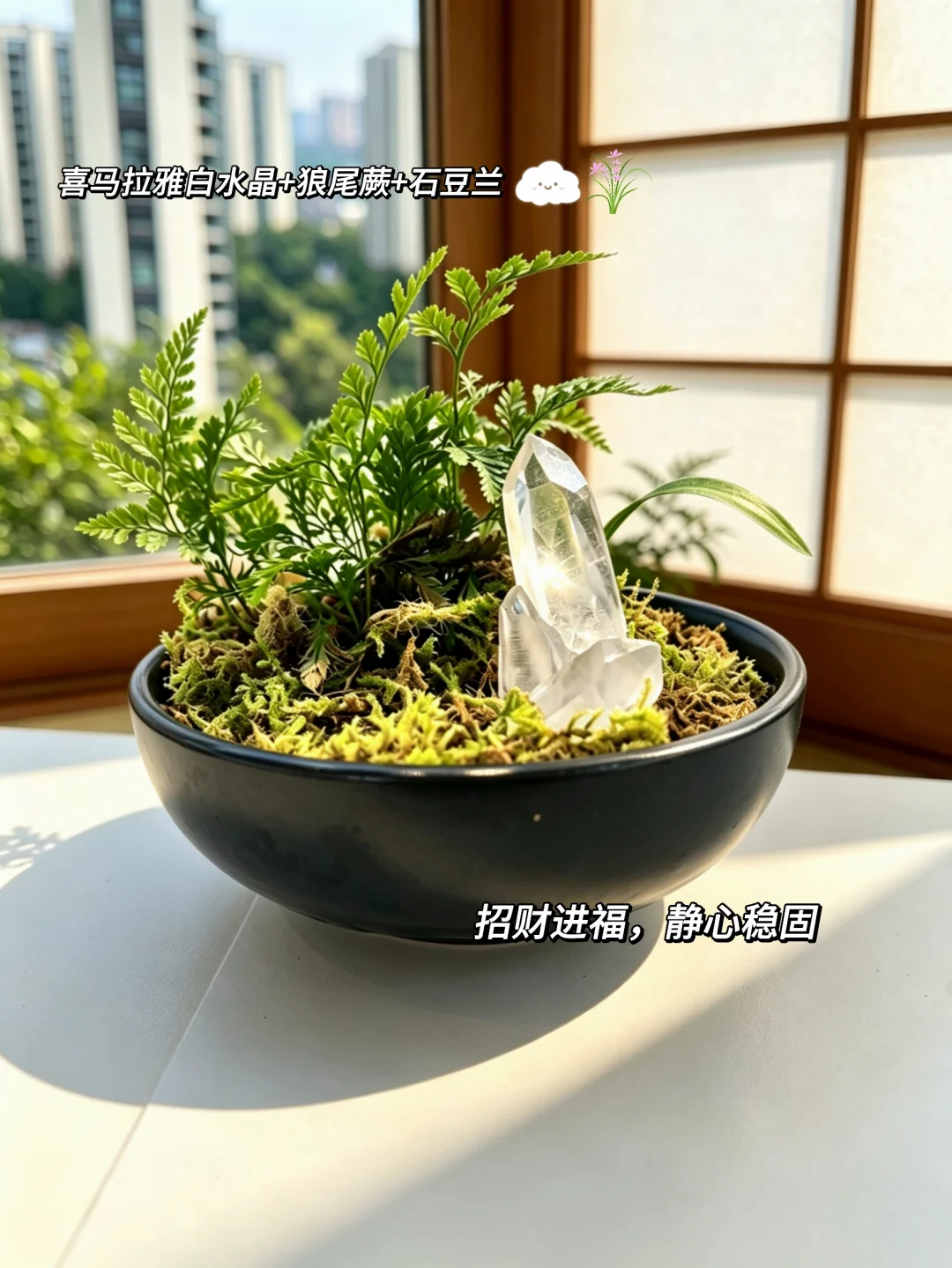这小盆里藏着我的“反内卷结界”🌿