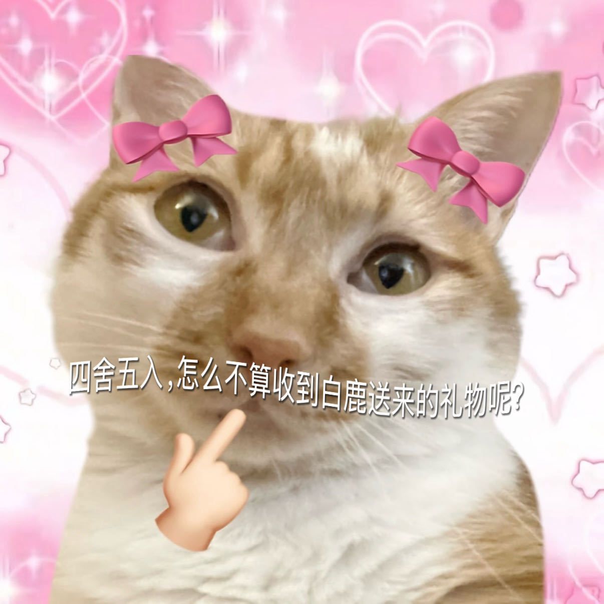 京东这次把追星人哄明白了 连着领了好几天本命的红包可把我美着了，有些虽然是我在买
