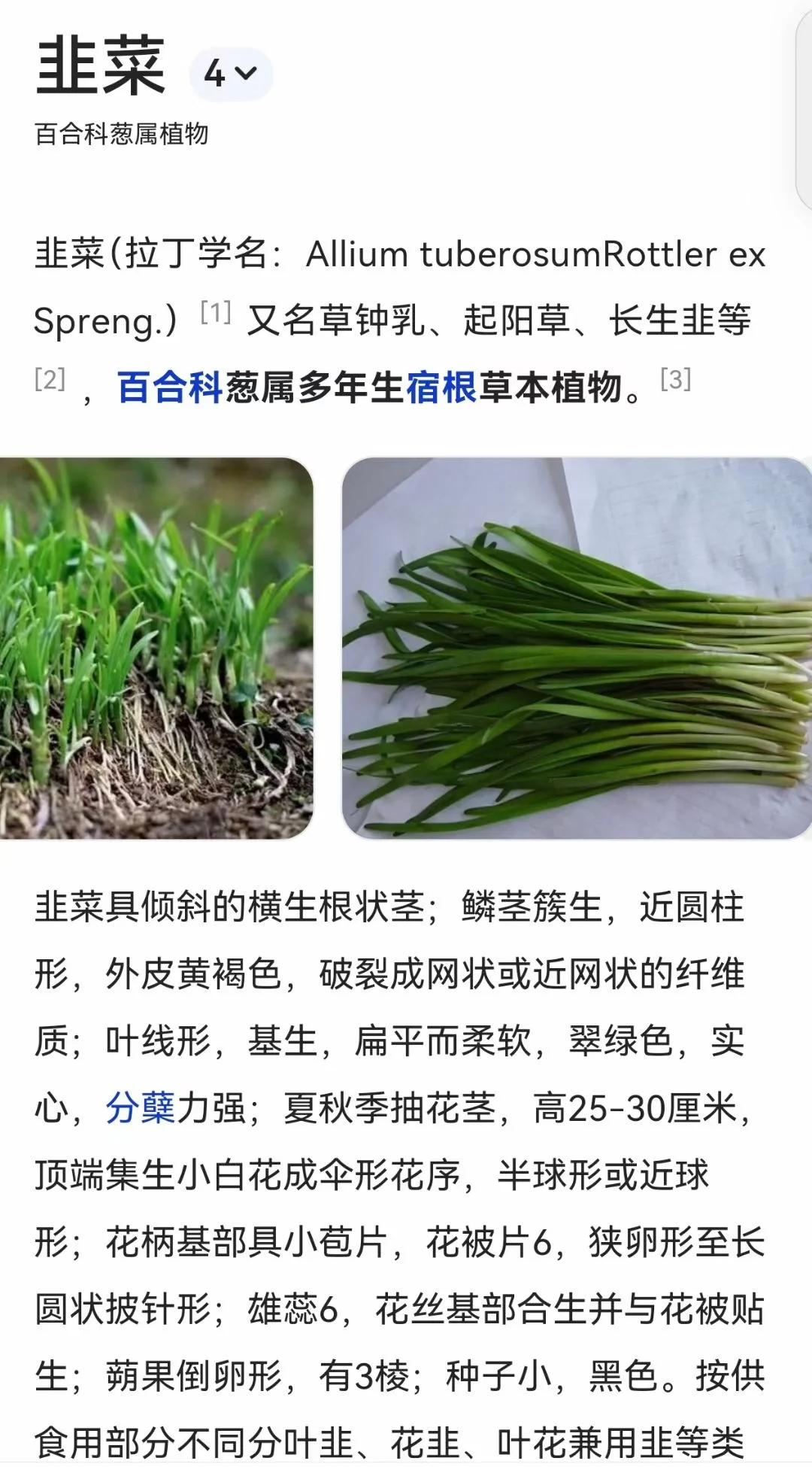 考前一个月又是各种押题卷疯狂收割学生的日