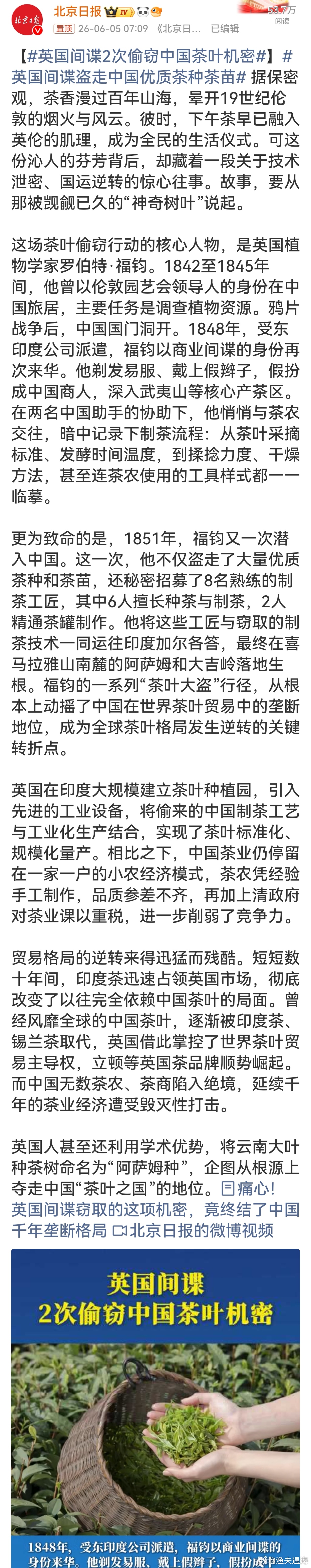 英国间谍2次偷窃中国茶叶机密盗用茶苗、拐走制茶工匠，再篡改茶树定名抢夺溯源，从物
