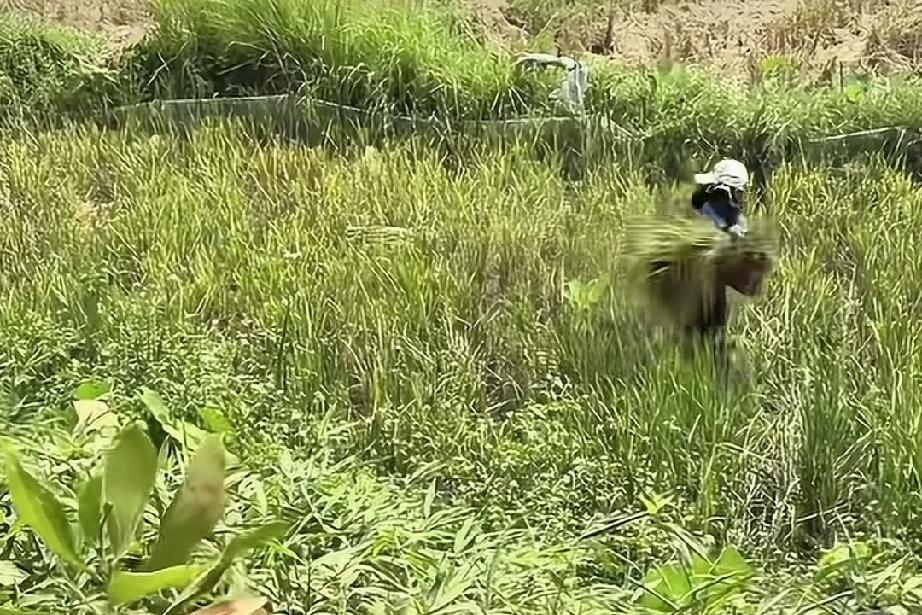 四年时间小松在越南盖了三处房子，自己还盖了一个民宿，可以说是吃自媒体红利的赢家，