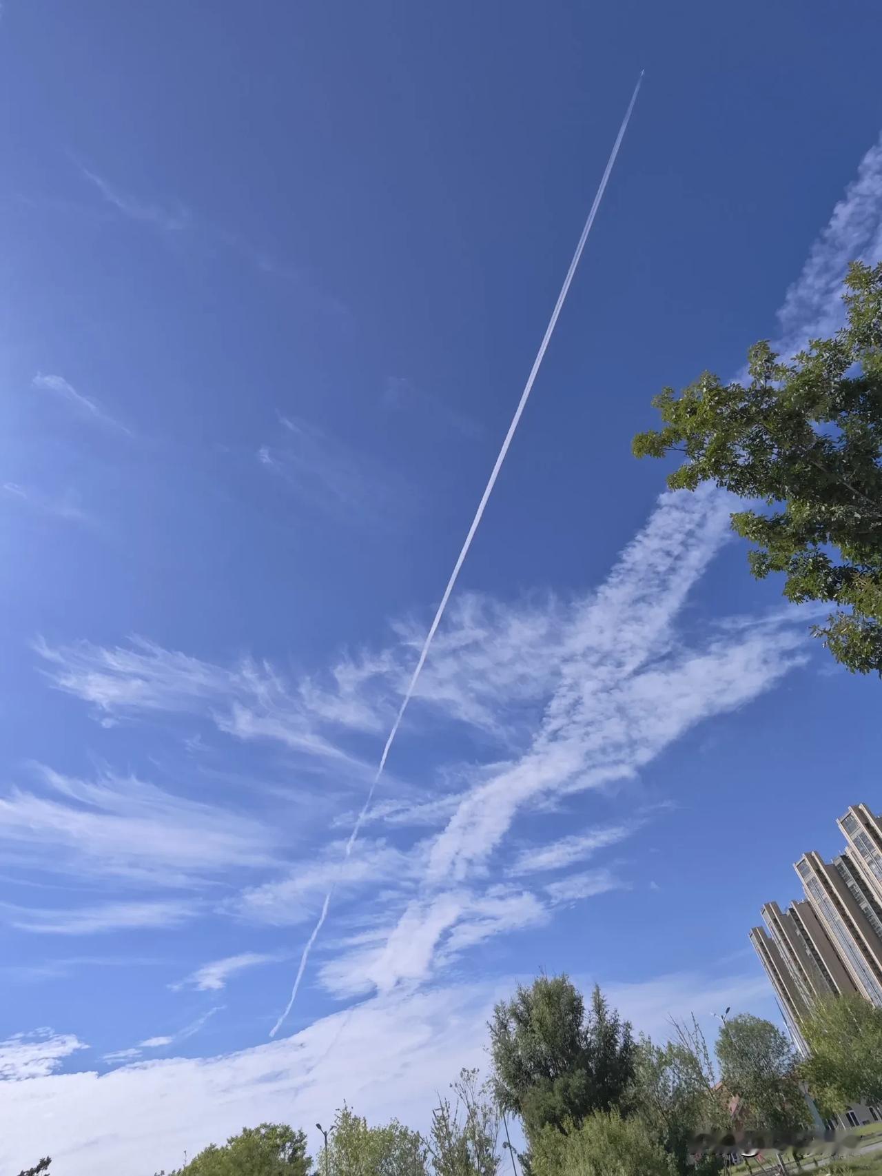 迹丨罗汉果

遁入空无境
身后一气游
上天白云意
人间自在求