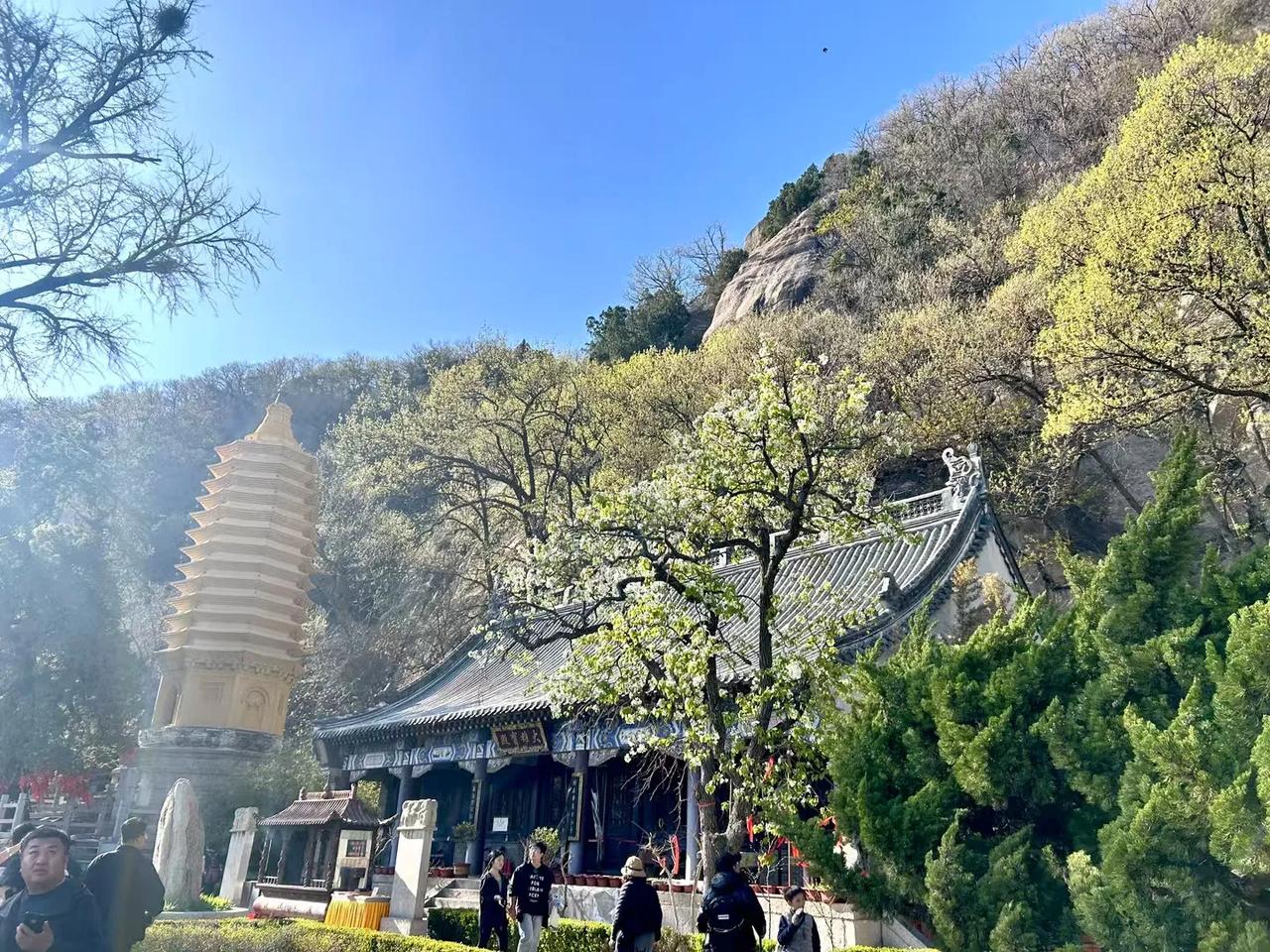 万能生活指南人老了，最值钱的是什么 分享一张你相册的拍的花 分享随手拍摄的树木和