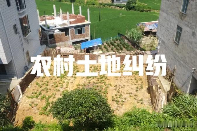 收到书记员的电话，说下周五下午去看土地纠纷现场。那是一个农村邻居间土地纠纷，被告