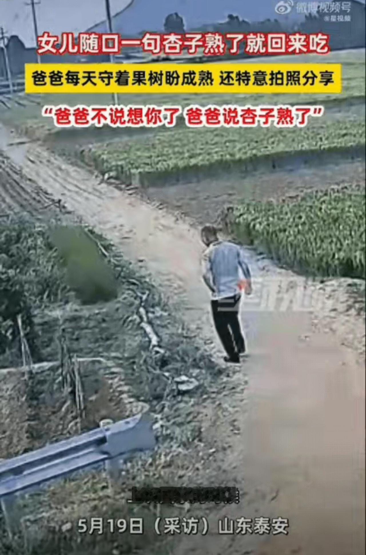 瞬间破防！女生随口一句家常话，父亲默默记在心底，监控画面看哭全网

瞬间破防！山