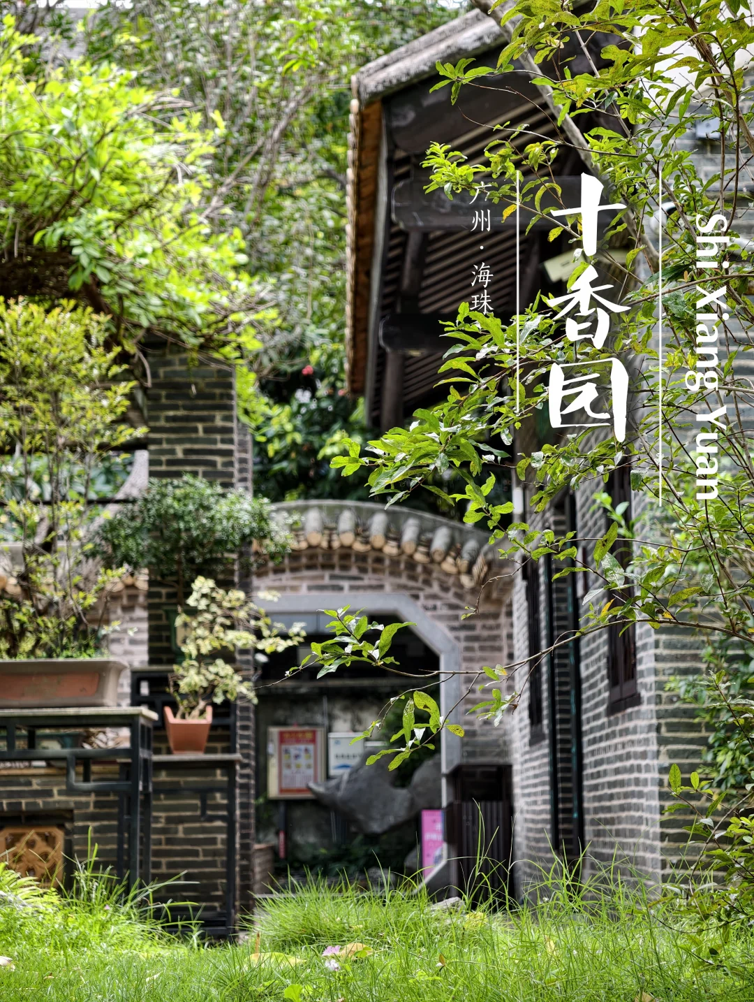 十香园｜藏在海珠深处的百年园林
