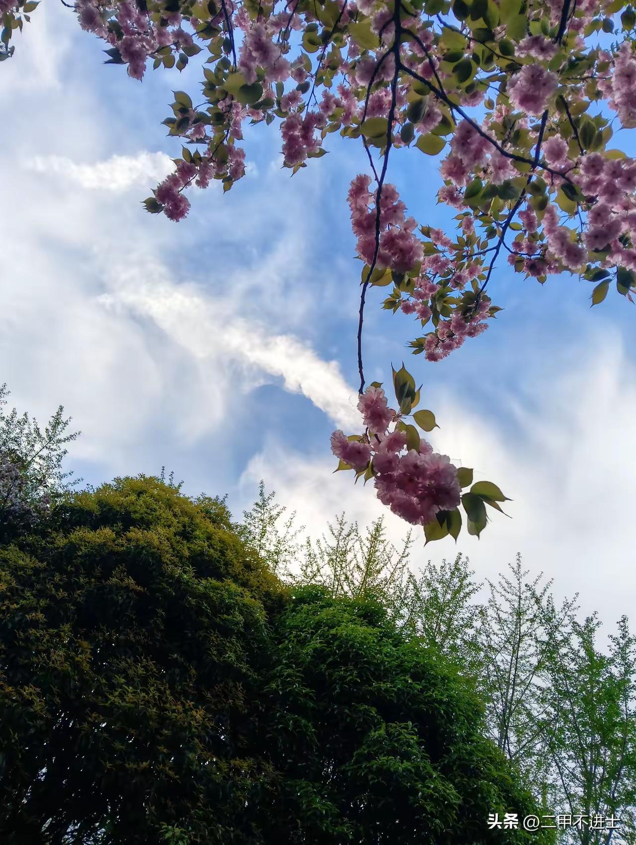 社交精简主义，少部分是势利作祟，更多事关“人之精力有限”。
​有人天天门庭若市，