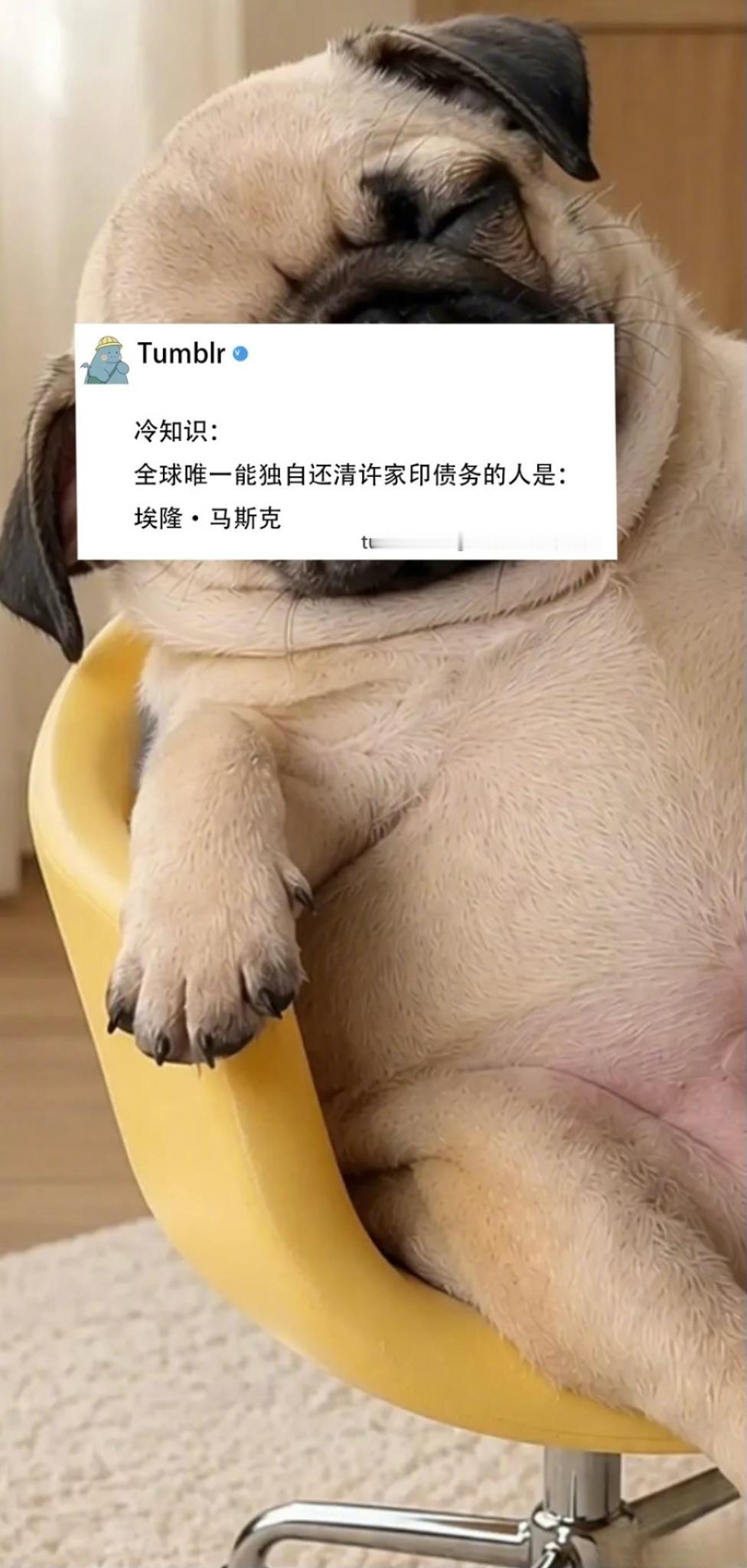 全球唯一能独自还清许家印债务的人：埃隆・马斯克。 