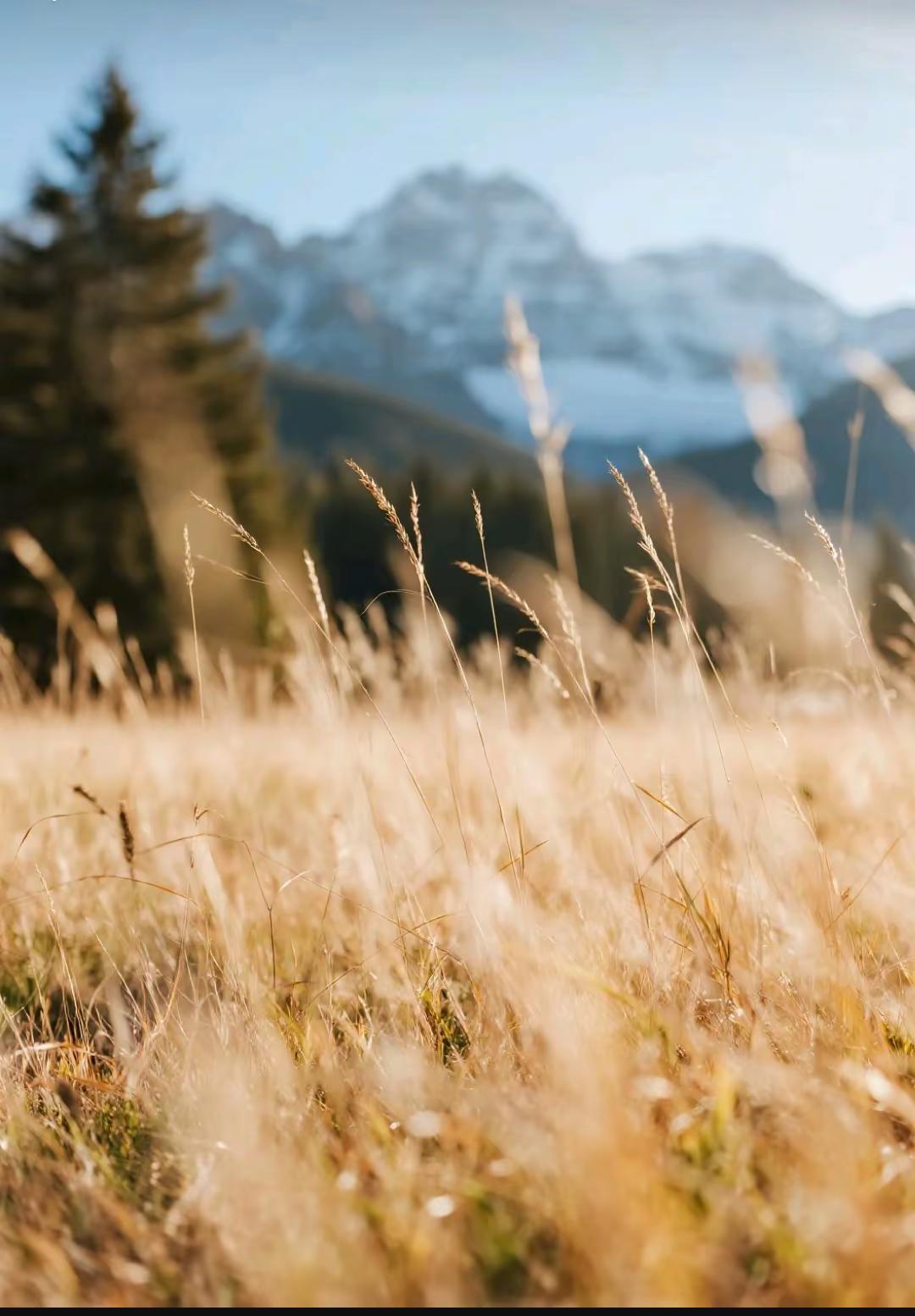 相册里随便找一张配，这个曲子