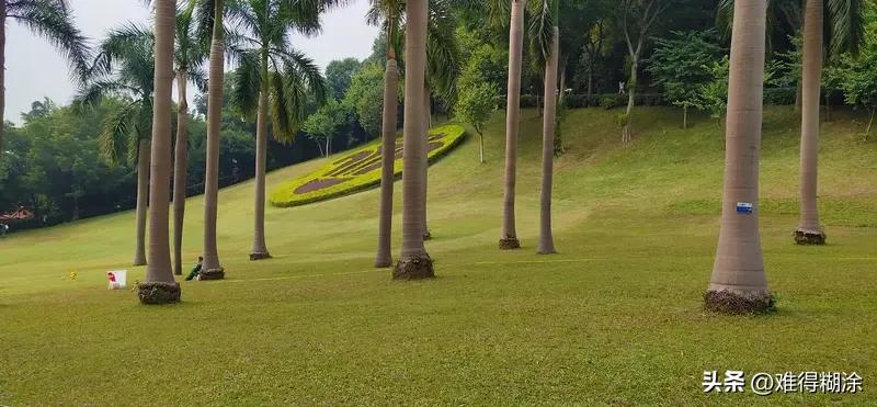 闲了可太有事儿干了！可以去公园溜达溜达，感受大自然的美好，说不定还能邂逅一场浪漫