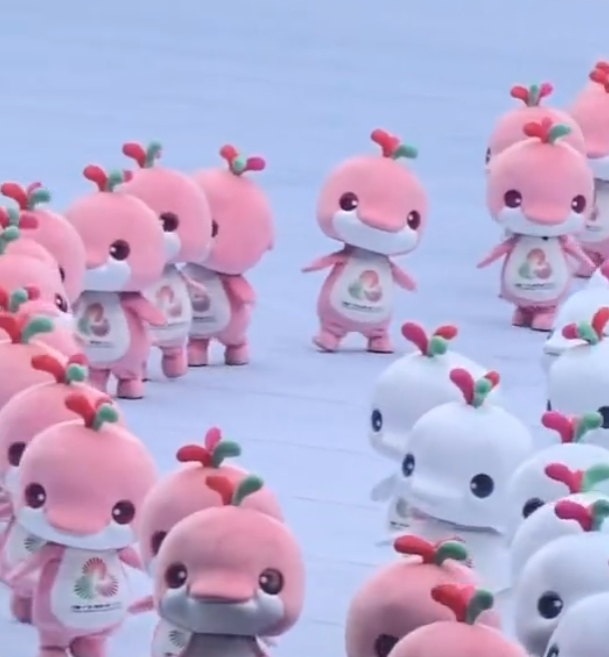 已经被大湾鸡硬控很多天了，找十几岁的武校学生做大湾鸡内胆的人简直天才 