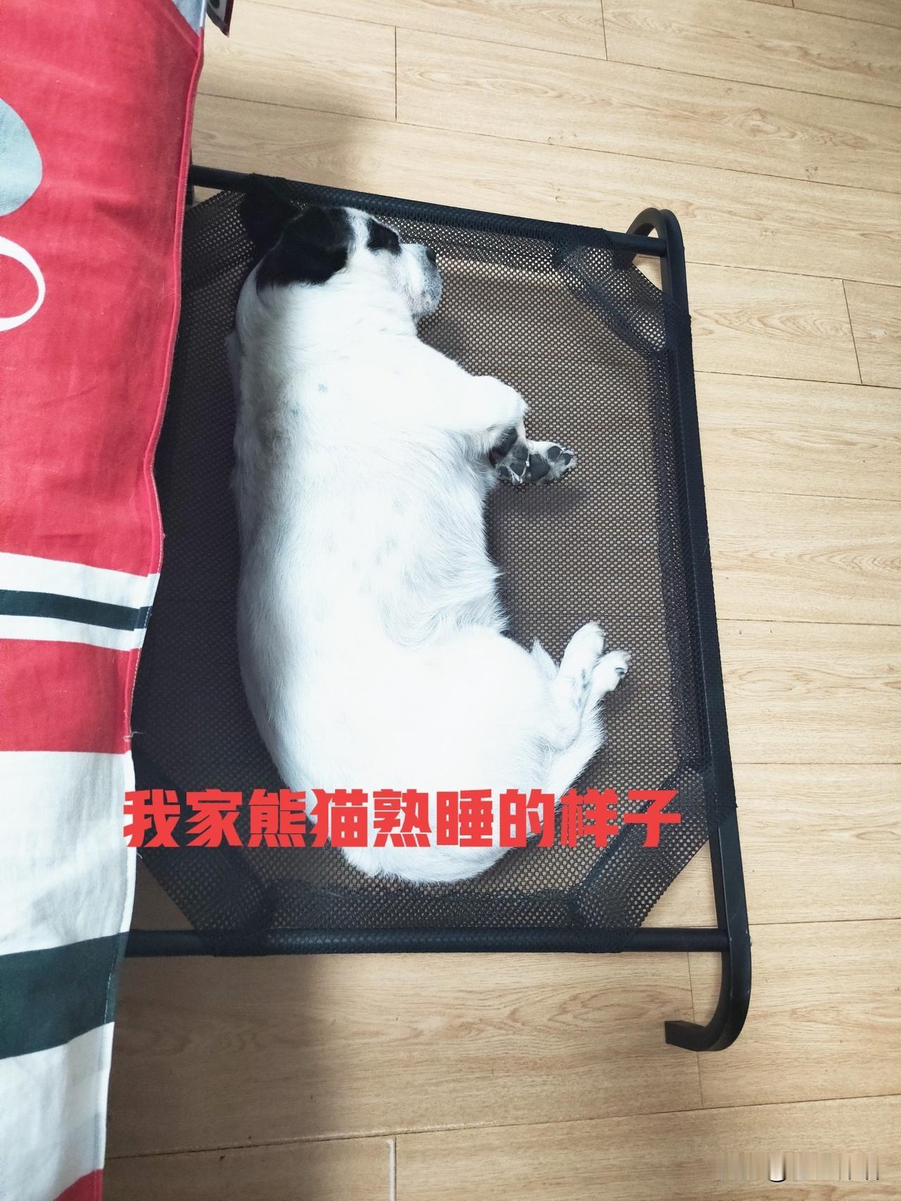 老倔头的抱怨，差点把我气疯

都说夫妻之间，性格互补好。

我们家，我很老倔头的