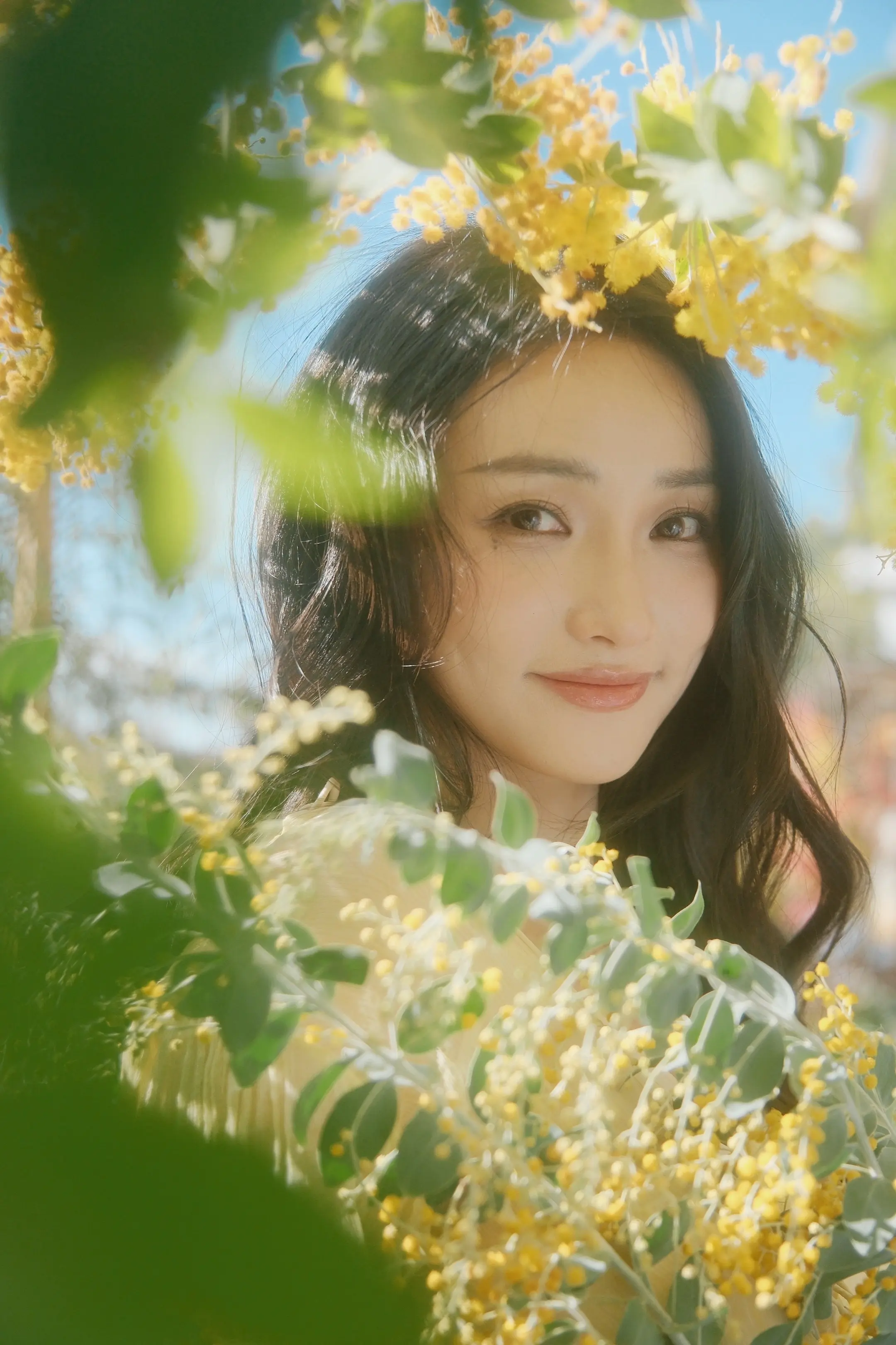 我们在阳光下往返于春天🌼。