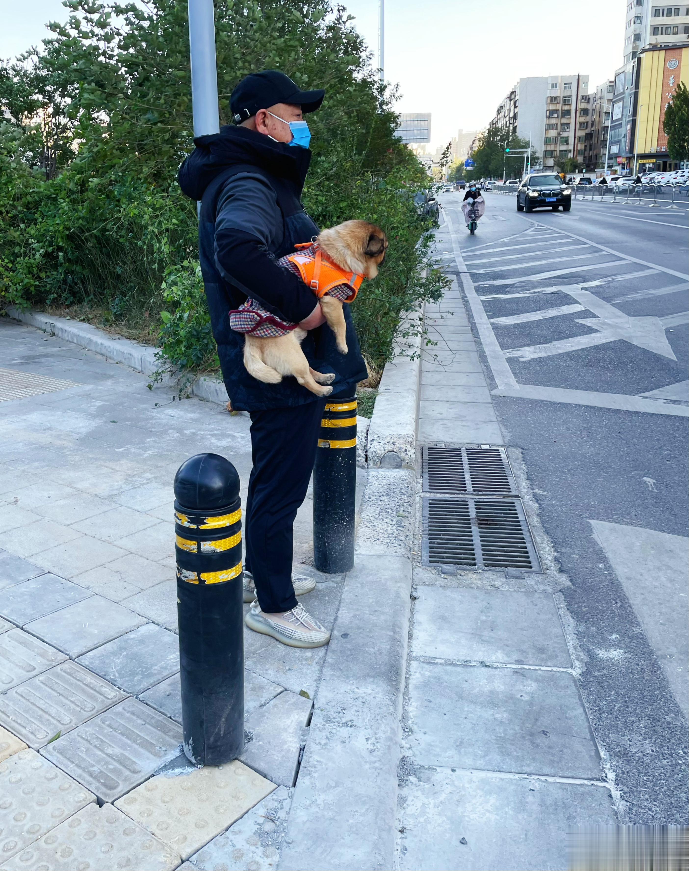 巴哥怎么这么可爱[心]#郑在生活[超话]#  ​​​