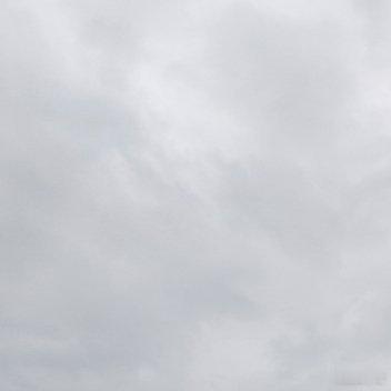 每日一善🌥阳光信用 你付出的每一份善意，都像悄然播下的种子，即使未曾即刻看见花