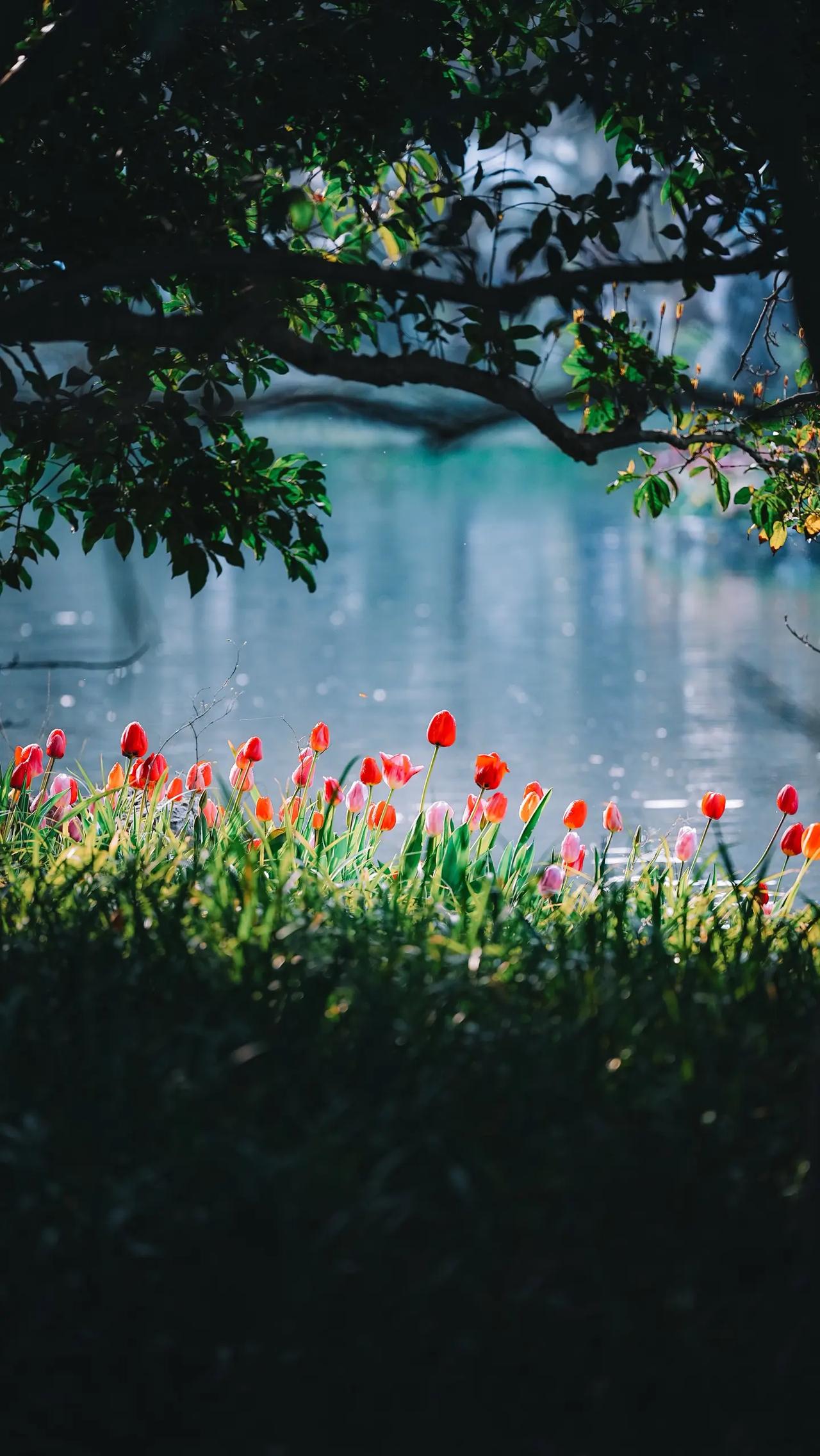 职业并无贵贱之分，然而收入却有高低之别，因此分配就显得尤为重要。无论从事何种职业