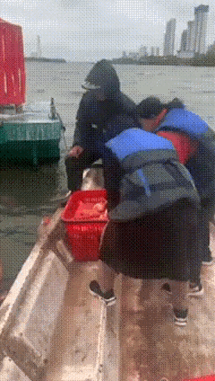 鱼：我真的谢谢你们了，我是淡水鱼啊，你把我放生到大海？