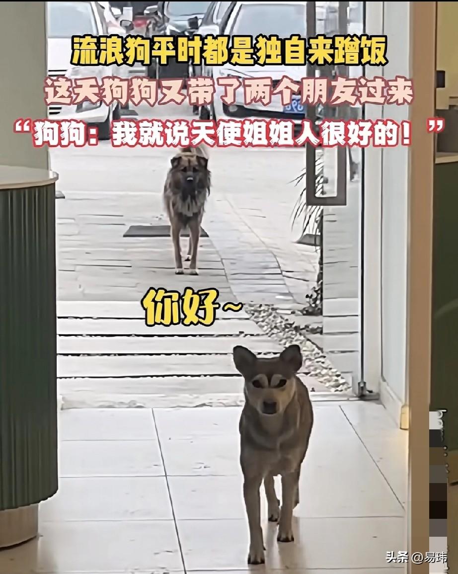 泪目了！一位小姐姐开了一家小饭店，平时她就负责收银，也还挺轻松的，不久前的一天，