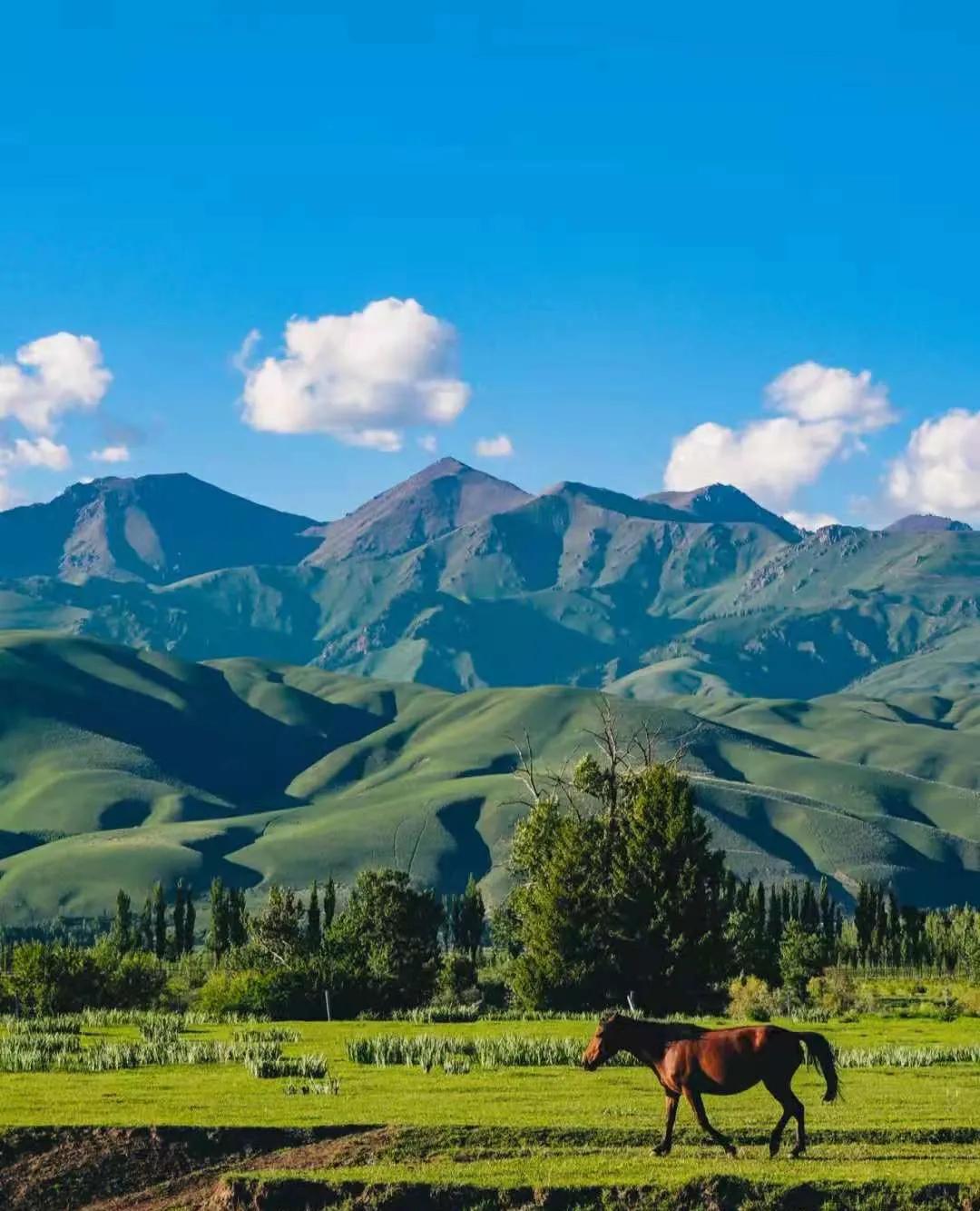 一个女司机说
不要说压到草场
就是闯了人也不怕
内蒙古草原上，有个女司机开车时不