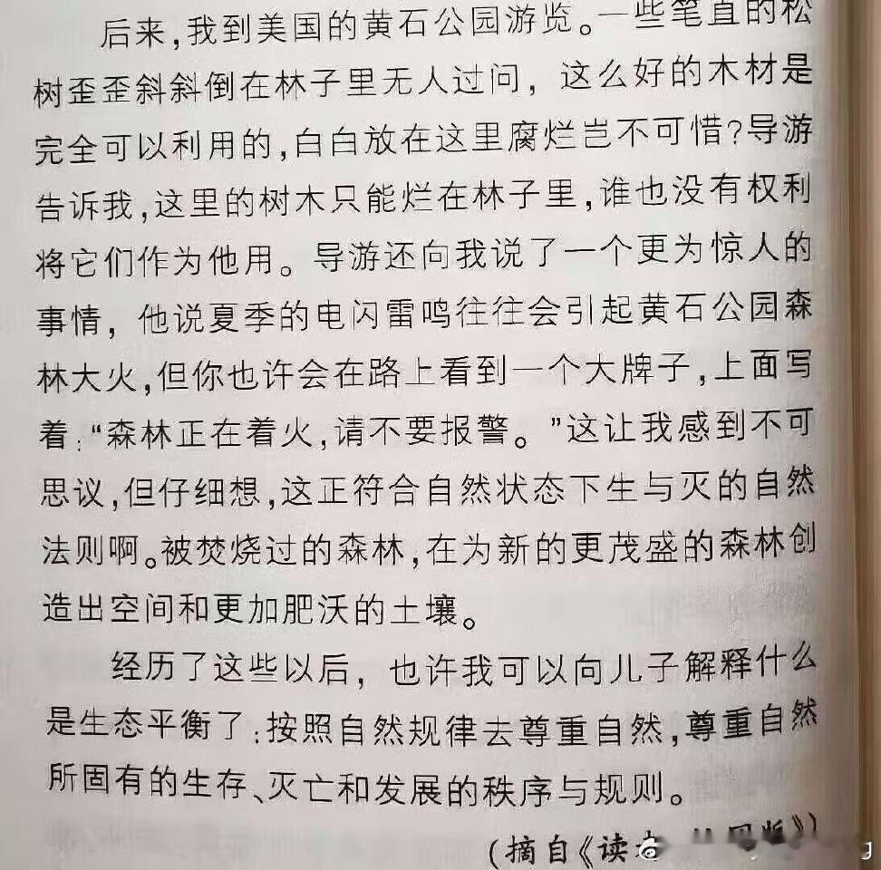 正在着火，不要报警 