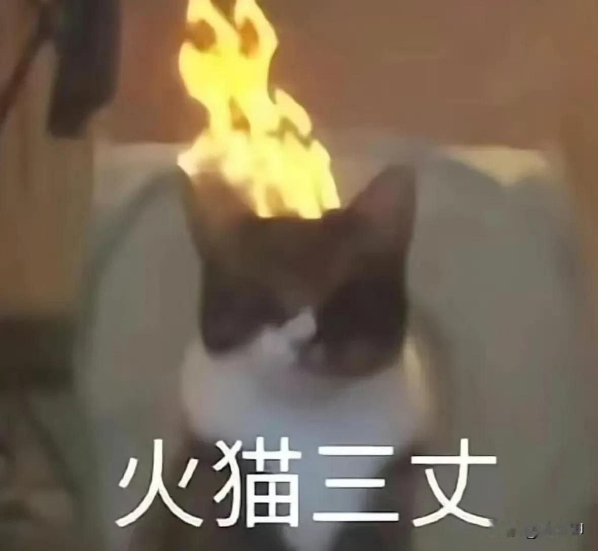 现在的工作都是谁找到了啊[流泪][流泪][流泪][流泪]失业找工作 找工作 求职