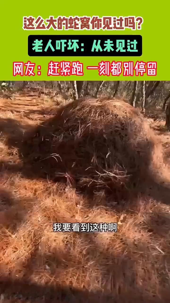 看到这种赶紧跑。