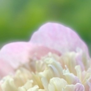 阳光信用 🫐每日一善希望，如同黑暗中的一盏明灯，照亮我们锦绣的前程，给予我们坚