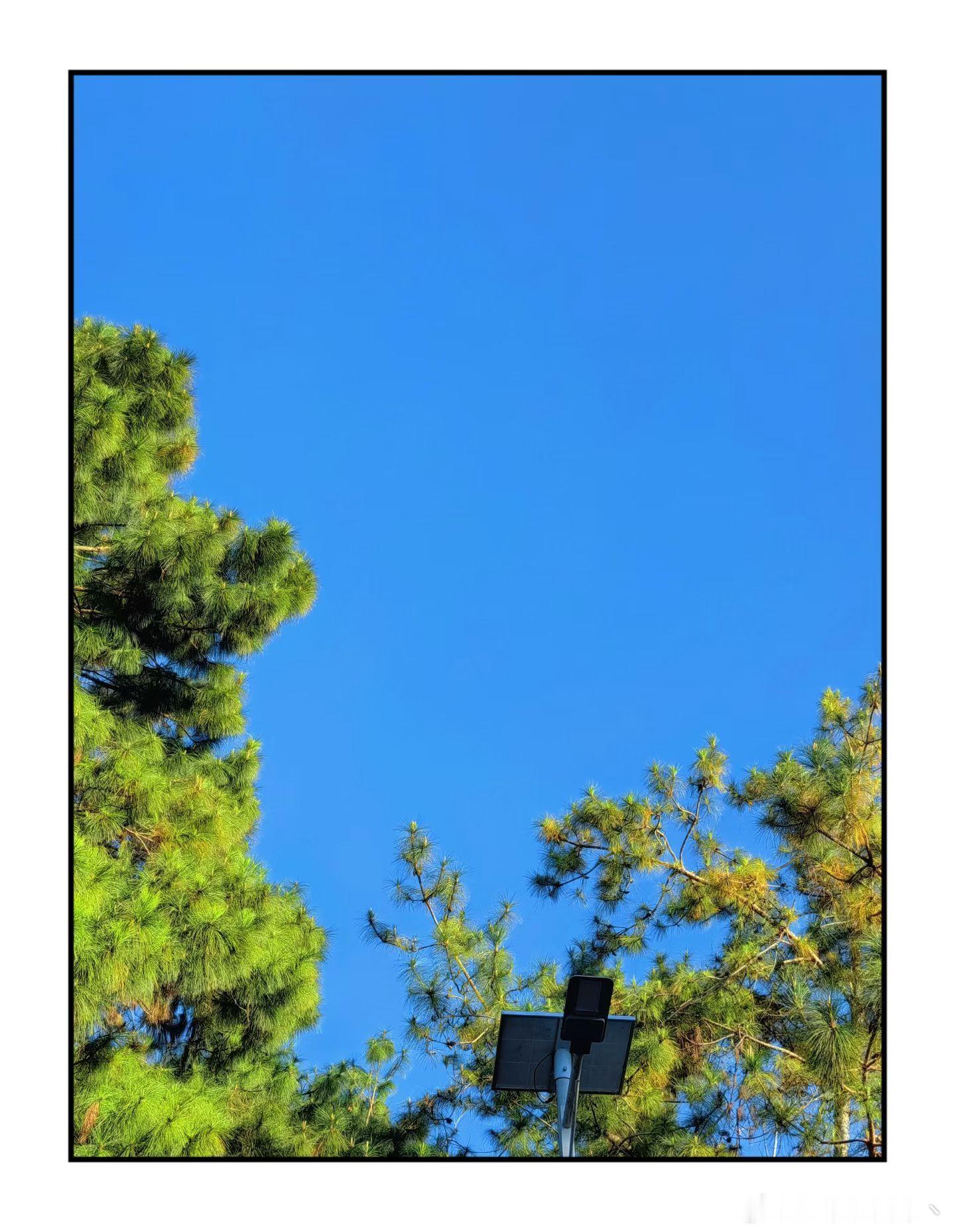 野菜有点辣🌶️~ 