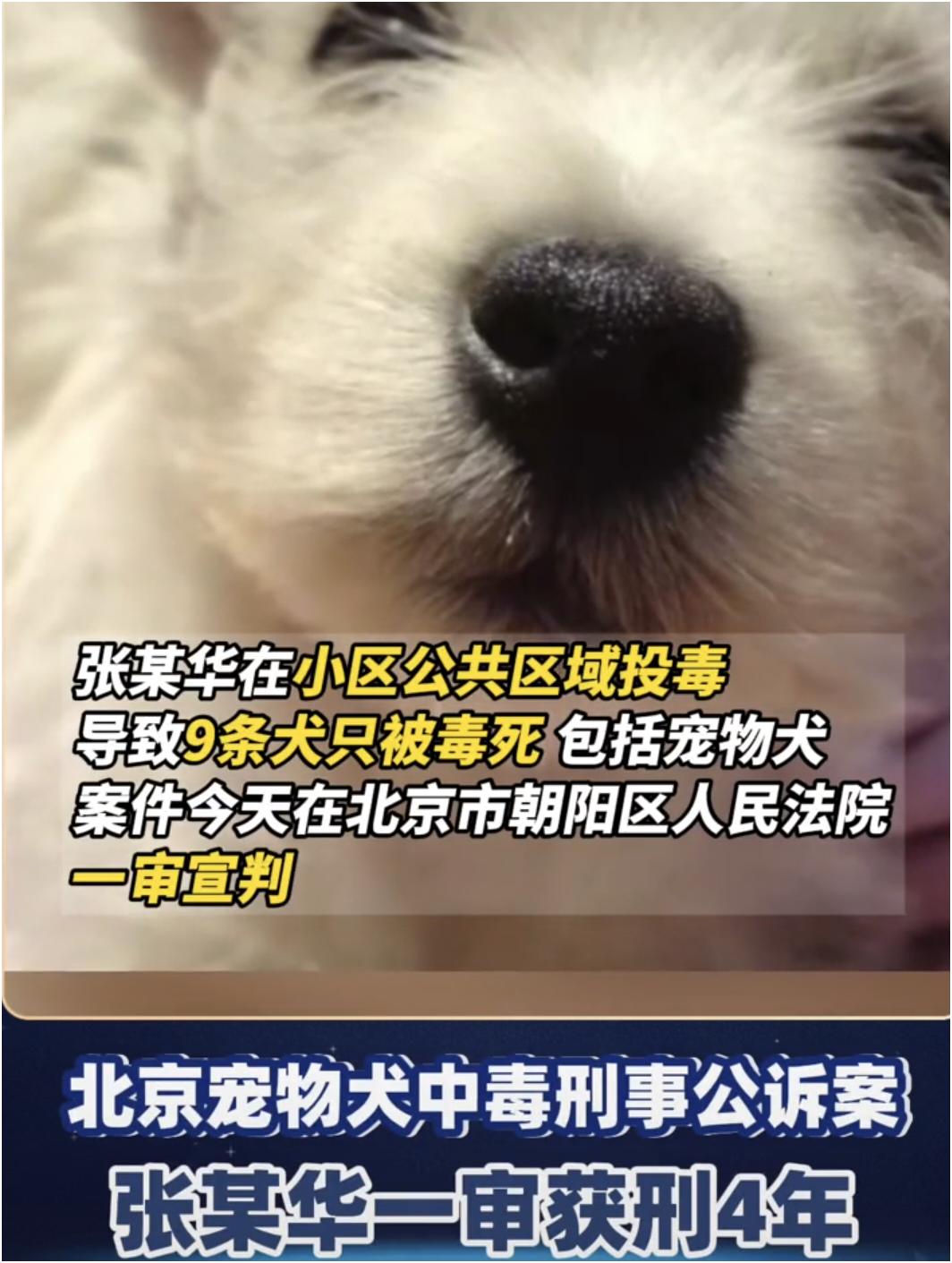 “北京首例宠物投毒刑事公诉案”的案件，迎来了一审宣判。 
北京市朝阳区人民法院以