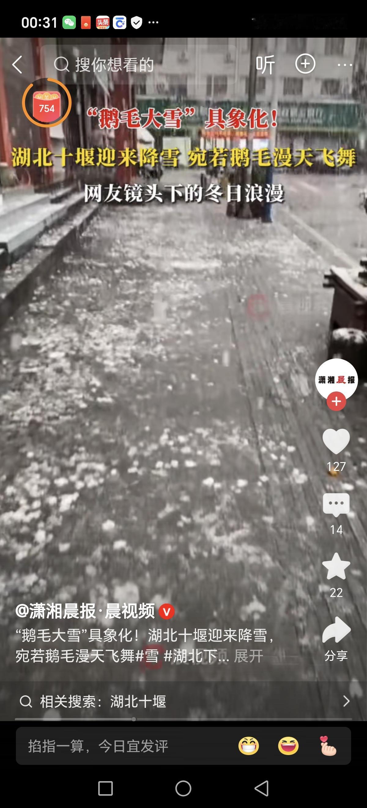 当寒风裹挟着一场鹅毛大雪悄然降临，十堰的天空仿佛变成了一幅动人的水墨画。那轻柔飘