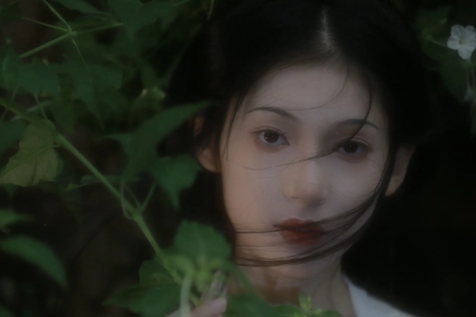 静夜沉沉，浮光霭霭，冷浸溶溶月。
