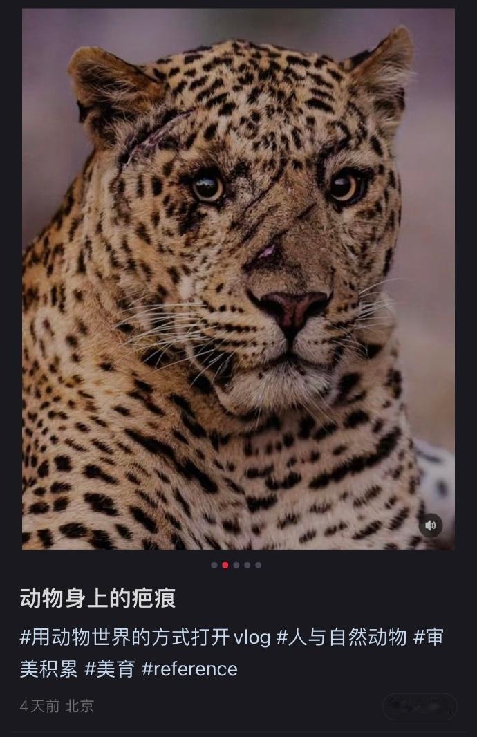 好喜欢这条笔记
也好喜欢这条热评