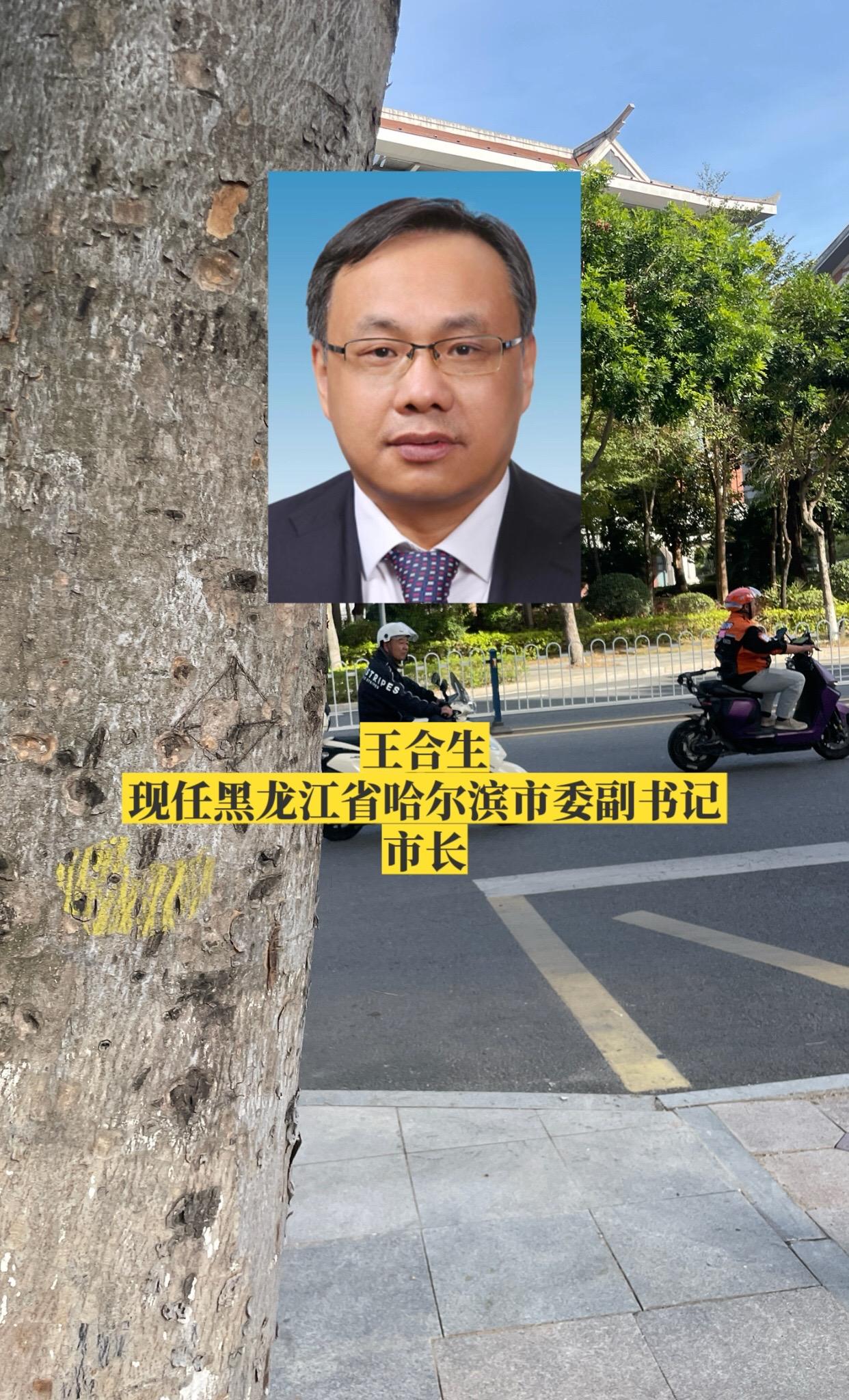 黑龙江哈尔滨市政府领导。