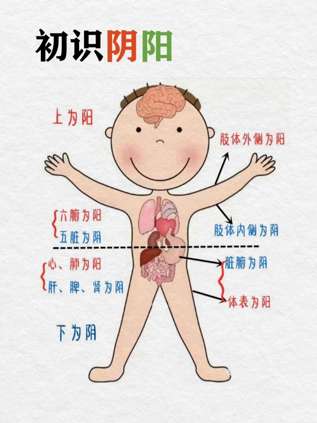 学中医，要先学会分辨阴阳

#中医##你相信中医吗##健康科普大赛#