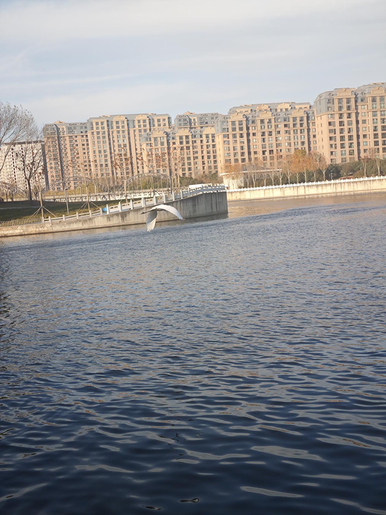 晒图笔记大赛从今天开始，每天下午开始慢跑2公里，这几张图都是跑步时随机拍的湖景。
