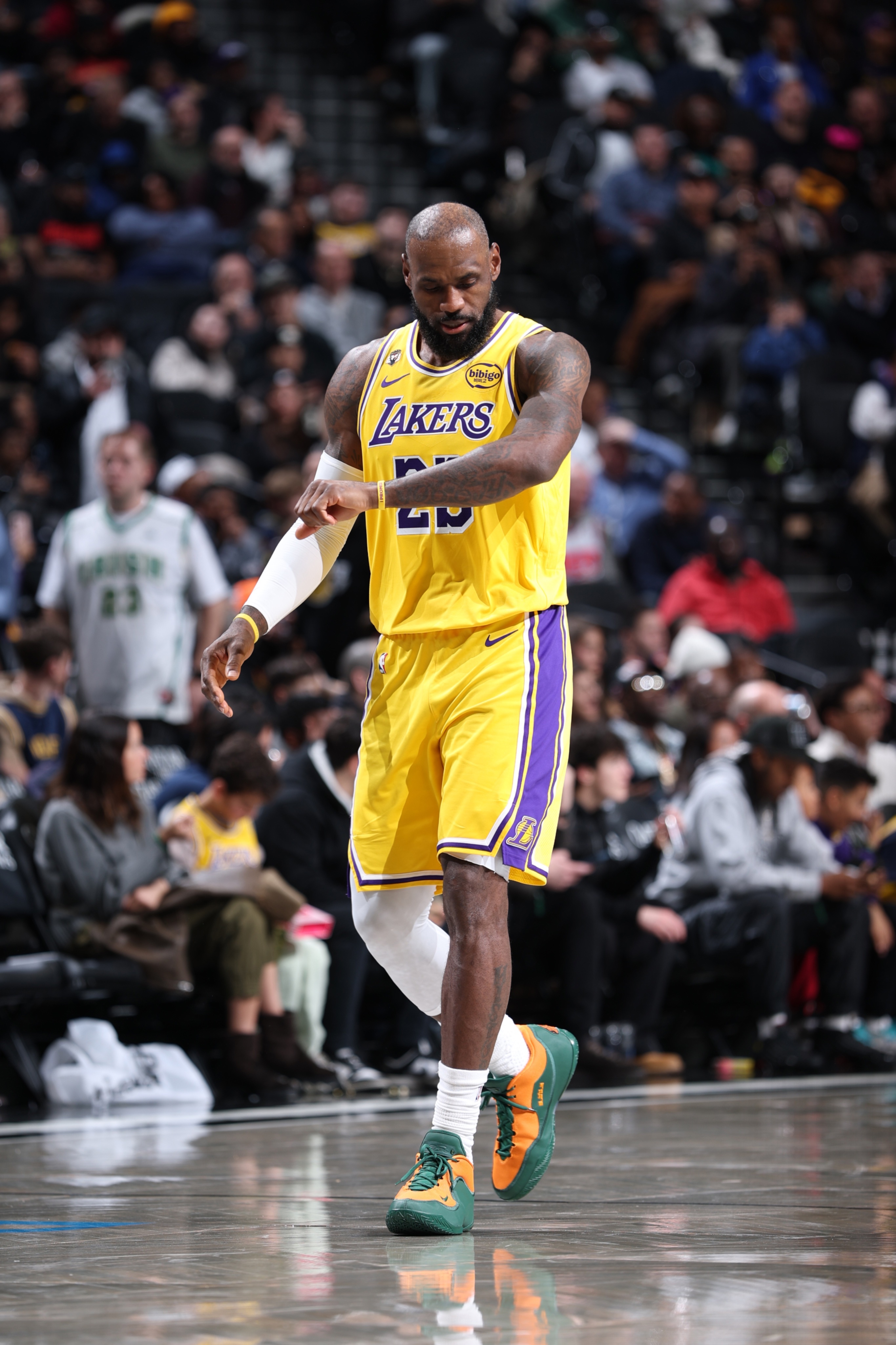 NBA LeBron James FREEHDNBA球鞋分享