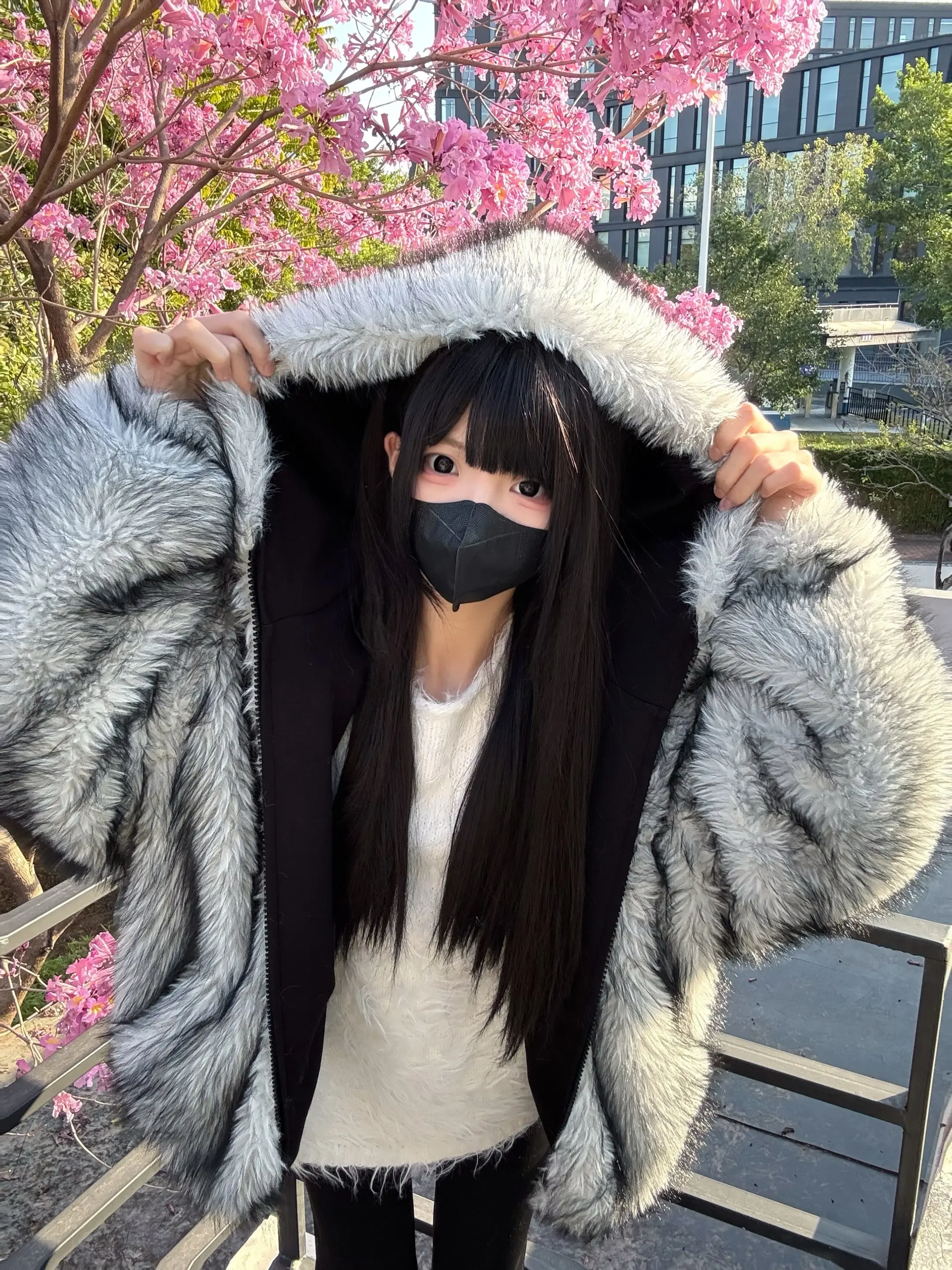 看花花