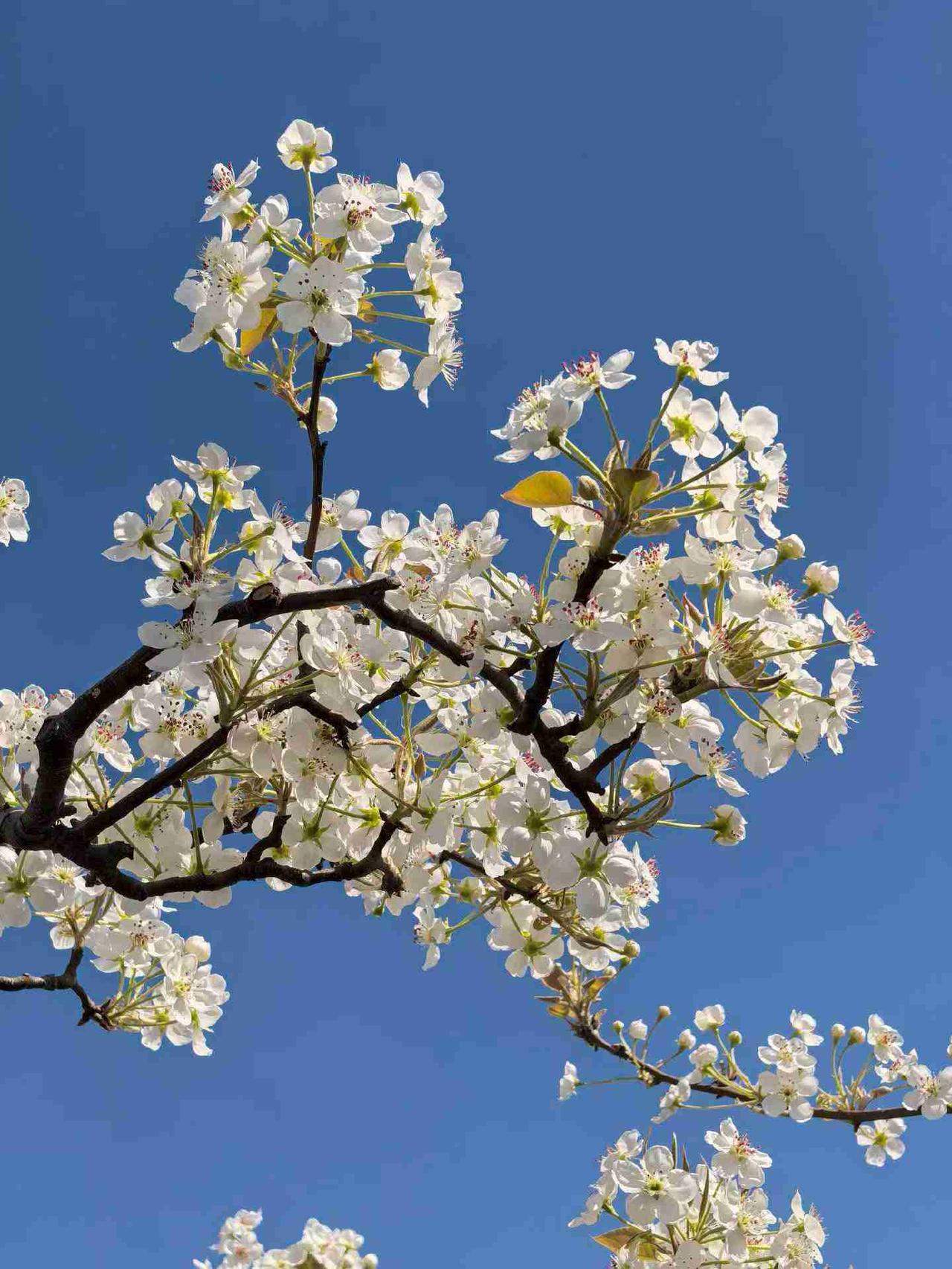 我的今日状态：😁轻松愉快
我这里的天气：☀️晴天