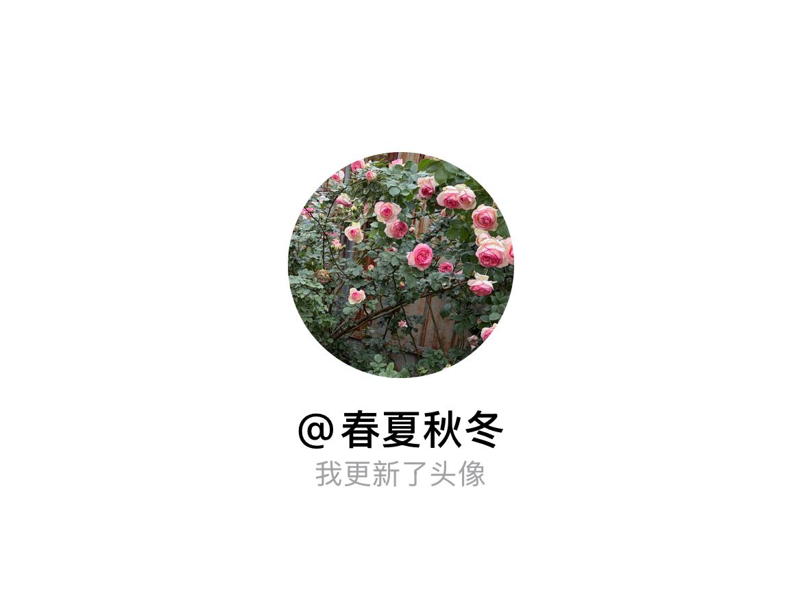 快来看看我新换的头像吧